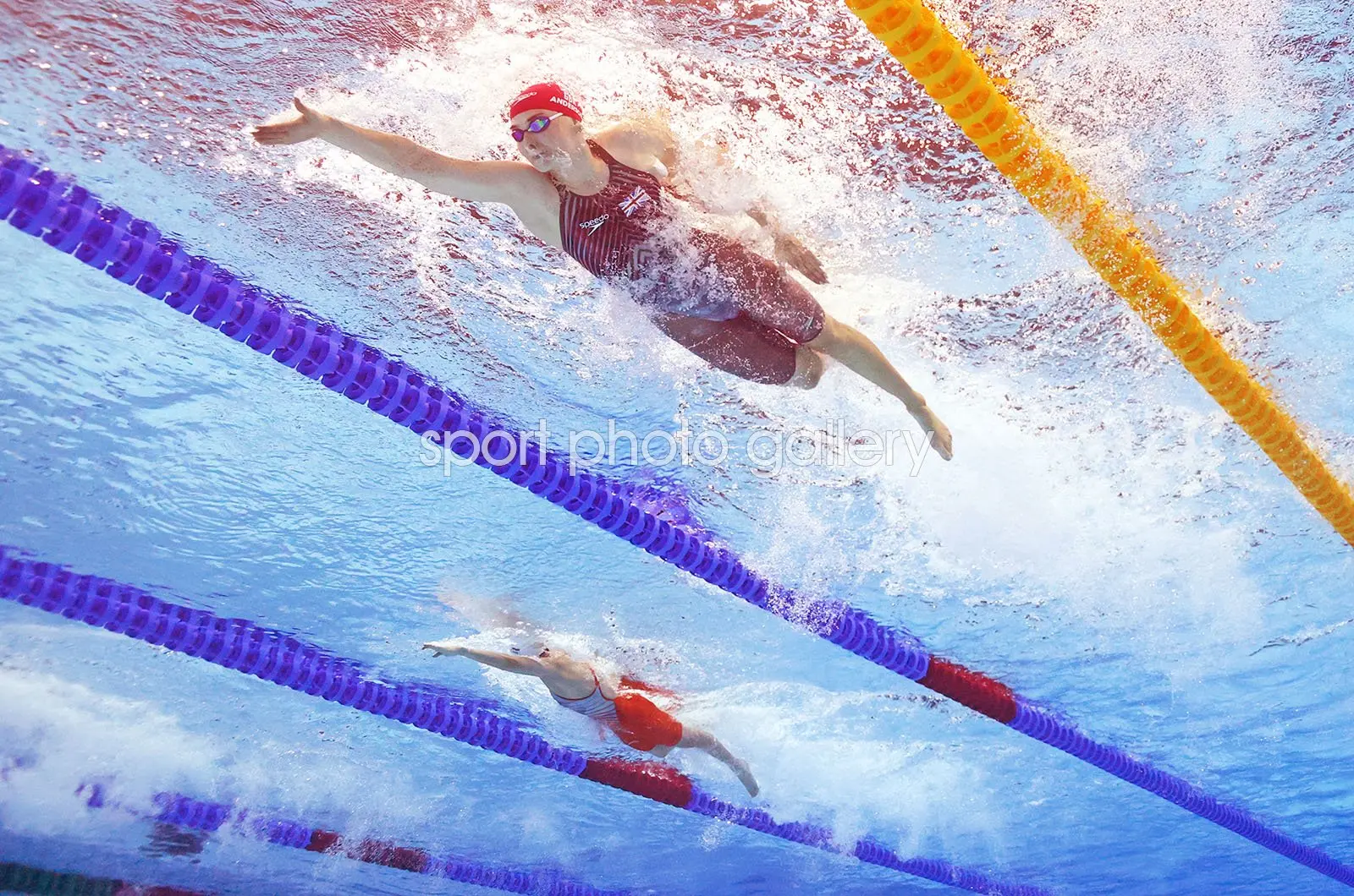 Freya swimming freestyle in a race